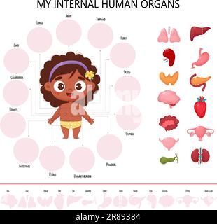 Anatomie des menschlichen Körpers. Infografiken mit süßem schwarzem ethnischen Mädchen. Sehschema gesunde innere weibliche Organe, Namen und Orte. Vector Medical Poster Stock Vektor