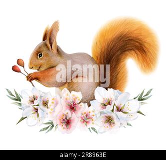 Aquarell süßes Eichhörnchen mit Beeren mit rosa Blumen Kranz Illustration isoliert auf weißem Hintergrund Stockfoto