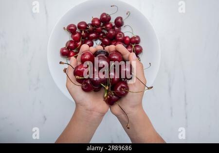 Kirschen in den Händen eines Kindes gegen einen weißen Teller mit Beeren. Stockfoto