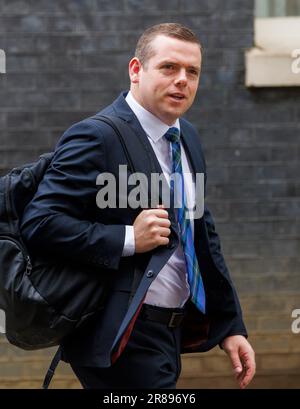 London, Großbritannien. 20. Juni 2023. Douglas Ross, Leiter der schottischen Konservativen Partei, bei der wöchentlichen Kabinettssitzung in der Downing Street. Kredit: Joe Maida/Alamy Live News Stockfoto