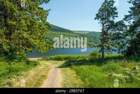 An einem sonnigen Junitag im TalybontValley im Brecon Beacons National Park blicken Sie hinunter zum Talybont Reservoir Stockfoto