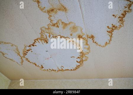 Feuchtigkeitsschäden an der Tapetendecke in einem älteren Mietapartment, das renovierungsbedürftig ist, Architektur- und Baukonzept, Kopierraum, Sele Stockfoto