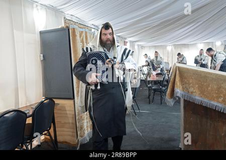 Bei einem morgendlichen Synagogendienst nimmt ein orthodoxer Jude eine Torah von der Heiligen Arche, um der Gemeinde vorgelesen zu werden. In Monsey, New York. Stockfoto