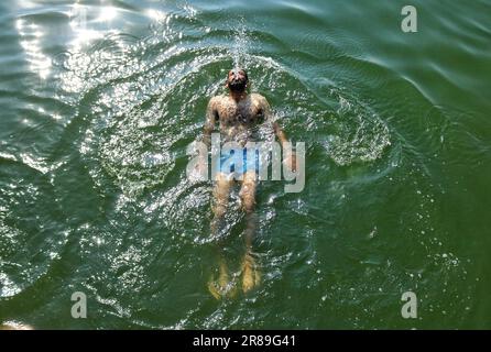 Srinagar, Indien. 19. Juni 2023. 19. Juni 2023, Srinagar Kaschmir, Indien : Ein Mann kühlt sich an einem heißen Sommertag in Srinagar im Wasser des Dal Lake ab. Am 19. Juni wurde in Srinagar eine Tagestemperatur von 31 Grad Celsius festgestellt, da die meteorologische Abteilung in den nächsten Tagen ein heißes und feuchtes Wetter in Kaschmir vorhersagt. Am 19. Juni 2023 in Srinagar Kashmir, Indien. (Foto: Firdous Nazir/Eyepix Group/Sipa USA) Kredit: SIPA USA/Alamy Live News Stockfoto