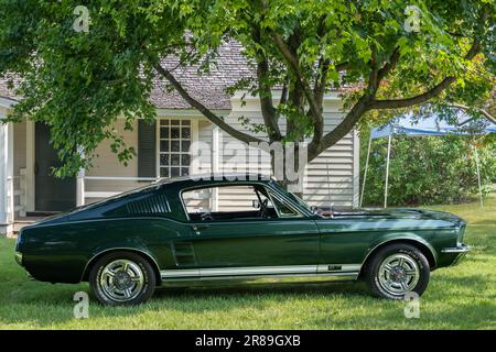 DEARBORN, MI/USA - 17. JUNI 2023: 1967 Ford Mustang Fastback Car, Henry Ford (THF) Motor Muster Car Show, nahe Detroit, Michigan. Stockfoto