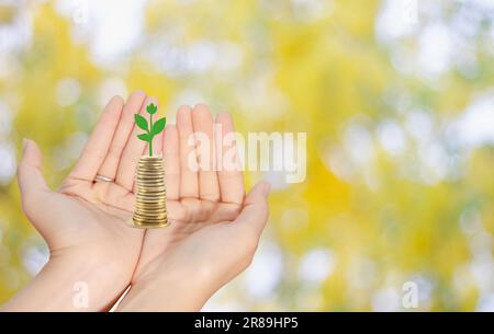 Weibliche Hand öffnet Münzen und grünen Baum auf Palmen, Wachstum des Finanzvermögens Geschäftskonzept Stockfoto