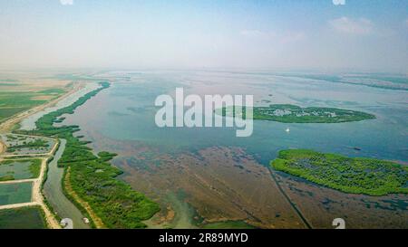 Bayannur. 19. Juni 2023. Dieses Luftfoto wurde am 19. Juni 2023
