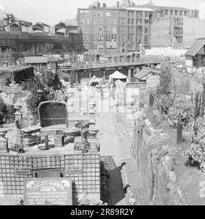 Actual 12-1951: Treffen mit LondonEditor per Bratland auf einer Reportage-Reise nach London, um über das "Festival of Britain" mit einer Darstellung des heutigen London zu berichten. Foto; per Bratland / Aktuell / NTB ***NB!!! FOTO NICHT VERARBEITET*** Stockfoto