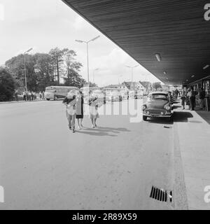 Derzeit 33-1-1960: Wenn die nordischen Menschen mit dem Bus ins Ausland fahren, ist das die beste aller Zeiten. Unter lautem Gesang und mit Magenpillen in ihren Koffern werden nationale Grenzen in Scharen gebrochen. In diesem Bericht sind die Personen in den Bildern und im Text nicht identisch. Mögliche Ähnlichkeit ist rein zufällig. Foto: Ivar Aaserud / Aktuell / NTB ***FOTO NICHT ABGEBILDET*** Stockfoto