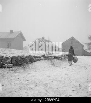 Derzeit 4-1947: Sollten Menschen in Norwegen leben [Bild 0012]die Mitarbeiter von Aktuell besuchen einen Bergbetrieb in Loen in Nordfjord. Die Farm heißt Oppheim, sie ist nicht so hoch im Vergleich zu vielen anderen Farmen in Norwegen, nur 300 Meter über dem Meeresspiegel. Aber von Opheim aus können Sie direkt hinunter in den Fjord sehen, der zwischen hohen, zerklüfteten, schneebedeckten Bergen steckt, sodass die 300 Meter einen geraden Aufstieg darstellen. Die Farm wurde seit Hunderten von Jahren von Generation zu Generation weitergegeben. Das älteste Haus auf dem Bauernhof signiert sich selbst im 16. Jahrhundert, und zu dieser Zeit war Oppheim eines von Nordfjords C. Stockfoto