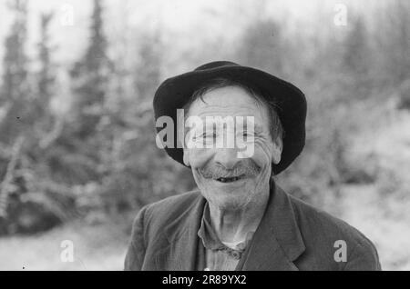 Derzeit 4-1947: Sollten Menschen in Norwegen leben [Bild 0006]die Mitarbeiter von Aktuell besuchen einen Bergbetrieb in Loen in Nordfjord. Die Farm heißt Oppheim, sie ist nicht so hoch im Vergleich zu vielen anderen Farmen in Norwegen, nur 300 Meter über dem Meeresspiegel. Aber von Opheim aus können Sie direkt hinunter in den Fjord sehen, der zwischen hohen, zerklüfteten, schneebedeckten Bergen steckt, sodass die 300 Meter einen geraden Aufstieg darstellen. Die Farm wurde seit Hunderten von Jahren von Generation zu Generation weitergegeben. Das älteste Haus auf dem Bauernhof signiert sich selbst im 16. Jahrhundert, und zu dieser Zeit war Oppheim eines von Nordfjord' Stockfoto