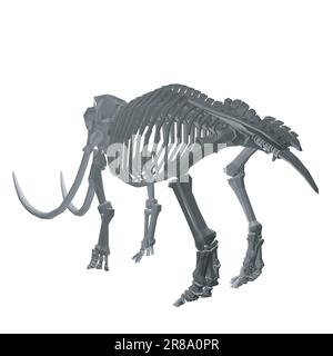 Vektordarstellung des polygonalen Mammoth-Skeletts auf isoliertem weißem Hintergrund. Vektorprähistorisches polygonales Skelett des Mammuts auf weißem Hintergrund i. Stock Vektor