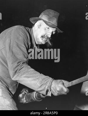 Derzeit 17-1950: Industrie in der WastelandBetween schneebedeckte Berge an der schwedischen Grenze, weit östlich von Bodø, liegt Sulitjelma. Die Menschen in dieser Bergstadt sind völlig abhängig vom Bergbau und den Minen. Die Kommunikation ist schlecht. Im Frühjahr und Herbst kann Sulitjelma vollständig von der Außenwelt isoliert werden. Die 3.000 Menschen, die dort leben, sind alle "de" und leben ihr eigenes Leben - fast wie ein Staat innerhalb eines Staates. Tief in der Mine auf Jakobsbakken trafen wir Peder Misvær - einen alten und erfahrenen Bergarbeiter, der nicht den großartigen Schnurrbart opfern wollte, den er als Mann trug Stockfoto