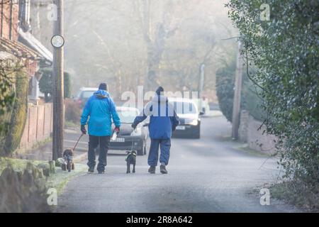 Rückansicht von zwei älteren Männern, die Hunde entlang einer Straße in einem ländlichen, englischen Dorf führen, eingewickelt in Wintermäntel und Hüte, an einem frostigen kalten Wintermorgen. Stockfoto