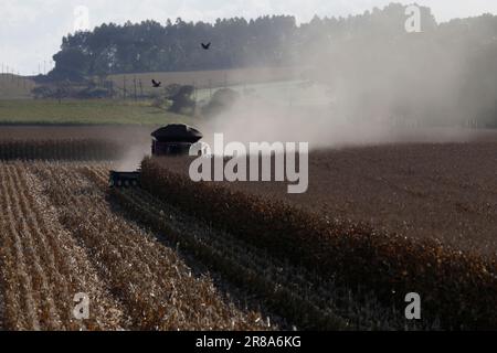 Brasilia, Brasilien. 19. Juni 2023. Eine Erntemaschine erntet Mais auf einer Farm in der Nähe von Brasilia, Brasilien, 19. Juni 2023. Kredit: Lucio Tavora/Xinhua/Alamy Live News Stockfoto