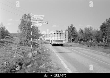 Aktuell 28 - 1 - 1974: Organisationsfreiheit nur eine Organisationsfreiheit nur ein Mythos nur zwei der Hotels in Hallingdal haben einen Tarifvertrag mit dem Hotell- Og Restaurantarbeiderforbundet. Wenn die Mitarbeiter ein Interesse an der Organisation zeigen, werden sie von den Hotelbesitzern belästigt und mit Entlassung bedroht, die von der Unterdrückung ihrer Arbeiter in hohem Maße profitieren. Foto: Ivar Aaserut/Aktuell/NTB ***FOTO NICHT ABGEBILDET*** Stockfoto