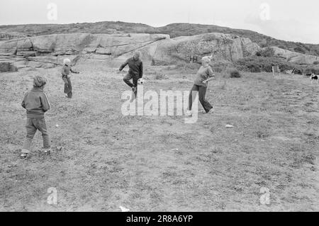 Aktuell 28 - 4 - 1974: Vom Strand geworfen Married Ehepaar Ada Haug und Odd Grythe reisen vom Campingplatz zum Campingplatz und stellen TV-Material her. Es gibt Live-Übertragungen. Aber sie erfordern auch umfangreiche Vorbereitungsarbeiten. Foto: Ivar Aaserud / Aktuell / NTB ***FOTO NICHT ABGEBILDET*** Stockfoto