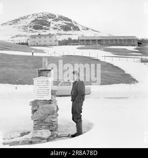 Derzeit 18.-7.-1960: Strømbu-Kara sechs alte Junggesellen betreiben eine Pension in Sollia und machen es so gemütlich für die Gäste, dass sie zwanzig Jahre in Folge wiederkommen. Foto: Aage Storløkken / Aktuell / NTB ***FOTO NICHT VERARBEITET*** Stockfoto