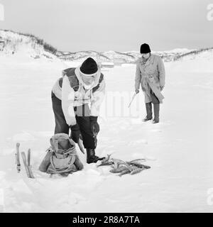 Aktuell 14-10-1960: Norsk Hydro Ein Arbeitstag ist vorbei, ein neuer hat bereits begonnen. Rund um die Uhr arbeiten 8.600 Menschen mit Werten, die Milliarden wert sind. Ein wunderbares Unternehmen, ein fantastischer Arbeitsplatz, eine moderne Großindustrie, die weltweit Wachstum und Profit schafft und täglich eine Million Kronen in Währung bereitstellt! Für 100 Norweger, jung und alt, bedeutet dieser Riese täglich Brot, Haus und Zuhause, Freizeit und Vergnügen. Ein Abenteuer aus der realen Welt. Foto: Aage Storløkken / Aktuell / NTB ***FOTO NICHT VERARBEITET*** Stockfoto