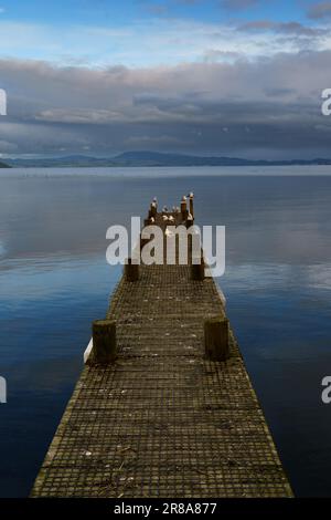 Ein hölzerner Dock, der in ein ruhiges Gewässer hinausragt, mit mehreren Möwen am Rand Stockfoto