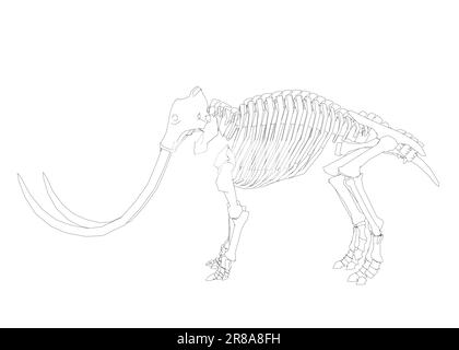 Vektordarstellung des Umrisses Mammoth Skeleton auf isoliertem weißem Hintergrund. Vektorprähistorisches Konturskelett des Mammuts auf weißer hintergrundisola Stock Vektor