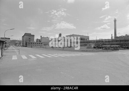 Aktuell 29 - 7 - 1974: Aus diesem Grund streiken Arbeiter von Hydro stands4.500 bei Norsk Hydro. Es könnte ein ziemlich langer Streik werden. Foto: Sverre A. Børretzen / Aktuell / NTB ***FOTO NICHT IMAGE PROCESSED*** Stockfoto