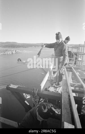 Aktuell 50-6-1960: In Brevik wird eine Brücke gebaut. Bald werden die endlosen Schlangen an Autos vor der Fähre Brevik-Stathelle ein Ende haben, da in Brevik eine Brücke gebaut wird. Foto: Sverre A. Børretzen / Aktuell / NTB ***FOTO NICHT IMAGE PROCESSED*** Stockfoto