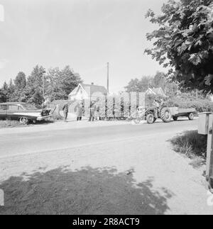 Stromstärke 30-5-1960: Das rasende Todesgrinsen hinter dem Steuer. Riesige Autokolossusen, wie Lokomotiven, fahren durch die dicht besiedelten Gebiete entlang der Straßen. Die Verkehrspolizei ist ständig auf der Suche und überwacht Schwertransporte mit Radar. Foto: Ivar Aaserud / Aktuell / NTB ***FOTO NICHT ABGEBILDET*** Stockfoto