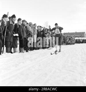 Aktueller 2.-2.-1960.: Anstoß mit dem Olympiaport die Skifahrer und Skater hatten am vergangenen Wochenende ihren ersten großen präolympischen Krafttest, die Skater in Trondheim, die Skispringer und die Skilanglauf in Gjøvik. In diesem Bericht berichten unsere Mitarbeiter in Texten und Bildern über die Situation, die zu den Besten zählt. Foto: Ivar Aaserud / Aktuell / NTB ***FOTO NICHT ABGEBILDET*** Stockfoto