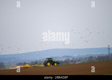 Pflügen des Traktors auf dem Feld Stockfoto