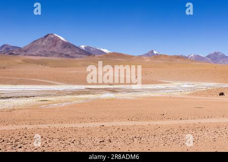 Entdecken Sie die malerischen Feuchtgebiete Vado Rio Putana zwischen San Pedro de Atacama und den Geysiren von El Tatio in der Atacama-Wüste in Chile, Südamerika Stockfoto