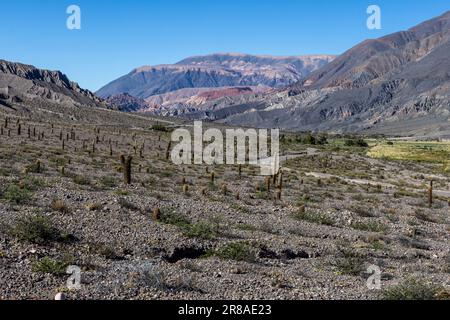 Malerische Fahrt durch eine riesige und wunderschöne Landschaft zwischen San Antonio de los Cobres und Salta im Norden Argentiniens, Südamerika Stockfoto