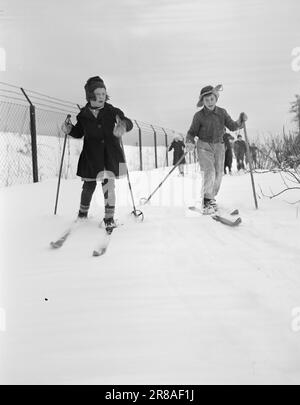 Derzeit 06-1950: Blinde Kinder auf Skiern. Die öffentliche Schule Dalen für Blinde befindet sich außerhalb von Trondheim und hat eine stetige jährliche Einschreibung von 50-60 Schülern. Hier sind sie Ski fahren. Es ist nicht leicht, einer Spur zu folgen, die man nicht sehen kann, und dieses kleine Mädchen ist da raus gekommen. Aber sie hat einen höflichen Kavalier hinter sich. Er kann hören, dass sie vom richtigen Weg abgekommen ist, und stellt sicher, dass er sie zu sich nach Hause zurückruft. Ein gemeinsames Schicksal schafft Solidarität, auch unter Kindern. Foto: Sverre A. Børretzen / Aktuell / NTB ***FOTO NICHT IMAGE PROCESSED*** Stockfoto