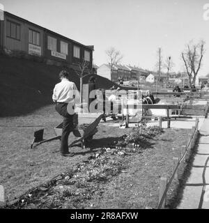 Tatsächlich 11 803-1-1947: Wiederaufbau in Kristiansund Kristiansund N. die auf Felsen und Bergen gebaute Stadt verschwand nach dem deutschen Bombenanschlag im Jahr 1940 in einem einzigen riesigen Feuer. Die Spuren sind fast gelöscht. Seit 7 Jahren leben sie in Baracken, so nah wie Hering in einem Fass. Noch sind nicht alle in die Stadt zurückgekehrt. Jetzt wird die Stadt wieder aufgebaut, aber es braucht Zeit. Zwischen Kasernen und Steinmassen bildet sich der neue zentrale Park heraus, der von Wohn- und Geschäftsgebäuden flankiert wird. Es wird Kristiansunds Schmuck sein und der Stolz der Bewohner, wenn es fertig ist. Foto: P Stockfoto