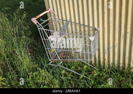 Einkaufswagen im Gelände verlassen Stockfoto