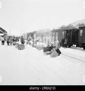 Aktuell 5-8-1960: Skifahren, Shows und Nachtclubs die Touristen dürfen keine Sekunde lang gelangweilt sein. Geilo begeistert mit Skifahren, Shows und Nachtclubs. Jeden Tag strömen neue Touristen nach Geilo, um Ski zu fahren und Spaß zu haben. Sogar im Januar sind die Hotels praktisch voll. Foto: Ivar Aaserud / Aktuell / NTB ***FOTO NICHT ABGEBILDET*** Stockfoto