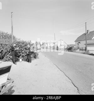 Stromstärke 30-5-1960: Das rasende Todesgrinsen hinter dem Steuer. Riesige Autokolossusen, wie Lokomotiven, fahren durch die dicht besiedelten Gebiete entlang der Straßen. Die Verkehrspolizei ist ständig auf der Suche und überwacht Schwertransporte mit Radar. Foto: Ivar Aaserud / Aktuell / NTB ***FOTO NICHT ABGEBILDET*** Stockfoto