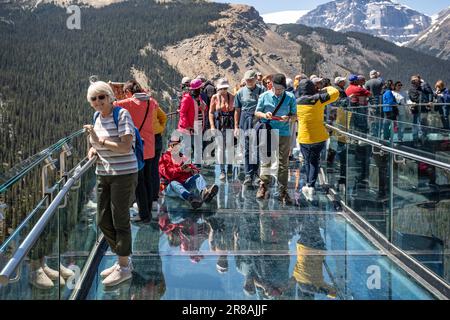 Touristen stehen am 6. Juni 2023 auf der Aussichtsplattform mit Glasboden des Columbia Icefield Skywalk im Jasper National Park, Alberta, Kanada Stockfoto