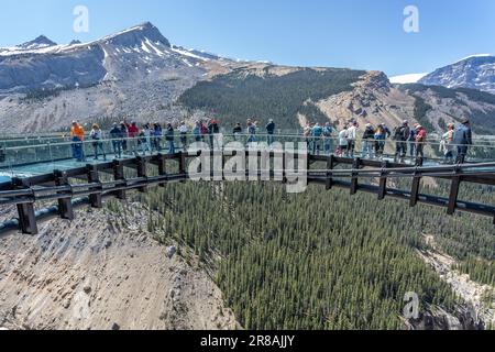 Touristen stehen am 6. Juni 2023 auf der Aussichtsplattform mit Glasboden des Columbia Icefield Skywalk im Jasper National Park, Alberta, Kanada Stockfoto