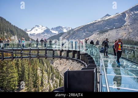 Touristen stehen am 6. Juni 2023 auf der Aussichtsplattform mit Glasboden des Columbia Icefield Skywalk im Jasper National Park, Alberta, Kanada Stockfoto