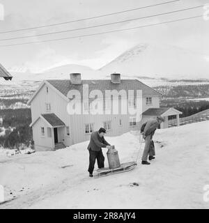 Tatsächlich 18-7-1960: Strømbu-Kara sechs alte Junggesellen führen eine Pension in Sollia und machen es so gemütlich für die Gäste, dass sie zwanzig Jahre in Folge wiederkommen. Foto: Aage Storløkken / Aktuell / NTB ***FOTO NICHT VERARBEITET*** Stockfoto