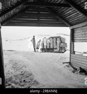 Ist 09-1949: Ende für dieses Jahr. Osterverkehr mit der Bergen Railway. Hier sind geschmackvolle Züge. Foto: Sverre A. Børretzen / Aktuell / NTB ***FOTO IST NICHT BILDVERARBEITET*** Stockfoto