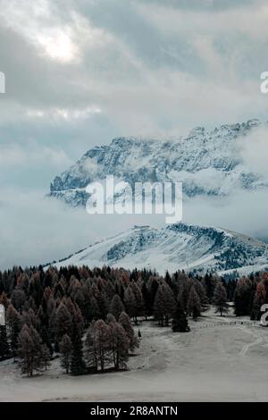 Eine Winterlandschaft mit einer Bergkette und einer dicken Schneedecke, die Bäume bedeckt. Stockfoto