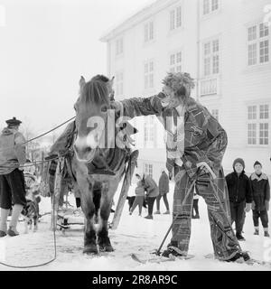 Aktuell 5-8-1960: Skifahren, Shows und Nachtclubs die Touristen dürfen keine Sekunde lang gelangweilt sein. Geilo begeistert mit Skifahren, Shows und Nachtclubs. Blakken kann den Kopf schütteln. Ein ehrlicher Vergleich zwischen Dollargrinsen und seltsamen Zahlen ist hier nicht möglich. Foto: Ivar Aaserud / Aktuell / NTB ***FOTO NICHT ABGEBILDET*** Stockfoto