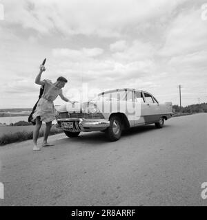 Aktuell 25. 10. 1960: Vor 4000 Jahren hat Roger Johannessen aus Fredrikstad, der in der modernen Zeit Lehrer an der Hvaler ist, keine Zweifel. Er bevorzugt die Steinzeit. Er hatte es noch nie so gut wie die Woche, in der er 4.000 Jahre in die Vergangenheit geschickt wurde. Foto: Ivar Aaserud / Aktuell / NTB ***FOTO NICHT ABGEBILDET*** Stockfoto