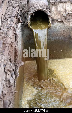 Gülle aus einem Rinderstall, der in eine Lagune gelangt, wo sie gelagert wird, nachdem Wasser abgetrennt wurde, und dann als Dünger auf dem Land verteilt wird. Du Stockfoto