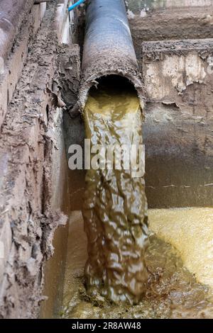 Gülle aus einem Rinderstall, der in eine Lagune gelangt, wo sie gelagert wird, nachdem Wasser abgetrennt wurde, und dann als Dünger auf dem Land verteilt wird. Du Stockfoto