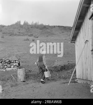 Aktueller 14-5-1950: Der Häretiker in Geilo erwartet seine Verurteilung der sogenannte Fall Havig-Gjelseth hat nicht nur bei Einwanderern, sondern auch in "ekularen" Kreisen viel Aufmerksamkeit erregt. Pastor C. Havig-Gjelseth hat es gewagt, Ole Hallesby zu trotzen. Foto: Arne Kjus / Aktuell / NTB ***FOTO NICHT VERARBEITETE BILDER*** Stockfoto