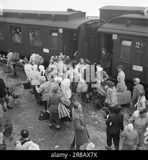 Ist 09-1949: Ende für dieses Jahr. Osterverkehr mit der Bergen Railway. Hier sind geschmackvolle Züge. Foto: Sverre A. Børretzen / Aktuell / NTB ***FOTO IST NICHT BILDVERARBEITET*** Stockfoto