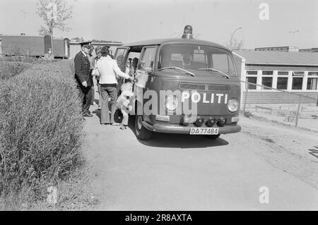 Tatsächlich 22 - 2 - 1974: DUS mit der Police Die Bezirkspolizei ist ein seltsames Phänomen, das als eine Art Pufferzone zwischen dem gewöhnlichen Polizisten und dem Jungen auf der Straße agiert. Der Zweck besteht in erster Linie darin, Verbrechen zu verhindern. Current ist bei den Offizieren Helge Løhren und Lars Stubstad. Foto: Ivar Aaserud / Aktuell / NTB ***FOTO NICHT ABGEBILDET*** Stockfoto